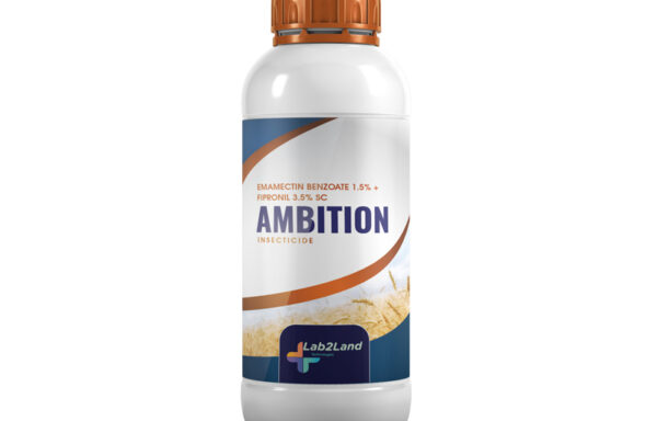 Ambition