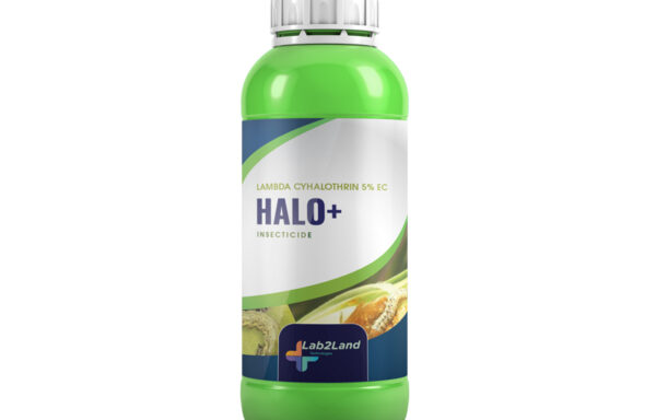 Halo+
