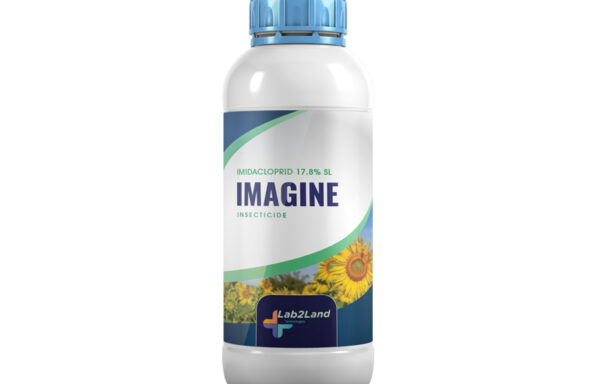 Imagine