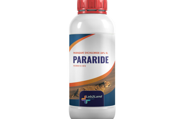 Pararide